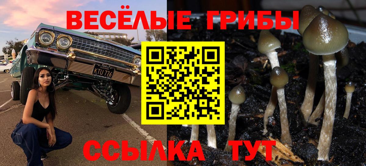 Галлюциногенные грибы GOLDEN TEACHER Благовещенск